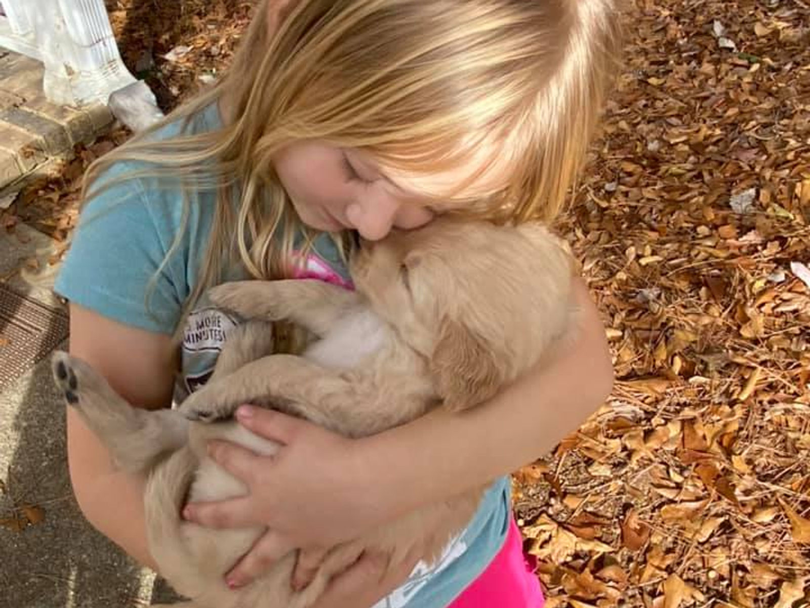 PUPPY TIP - 